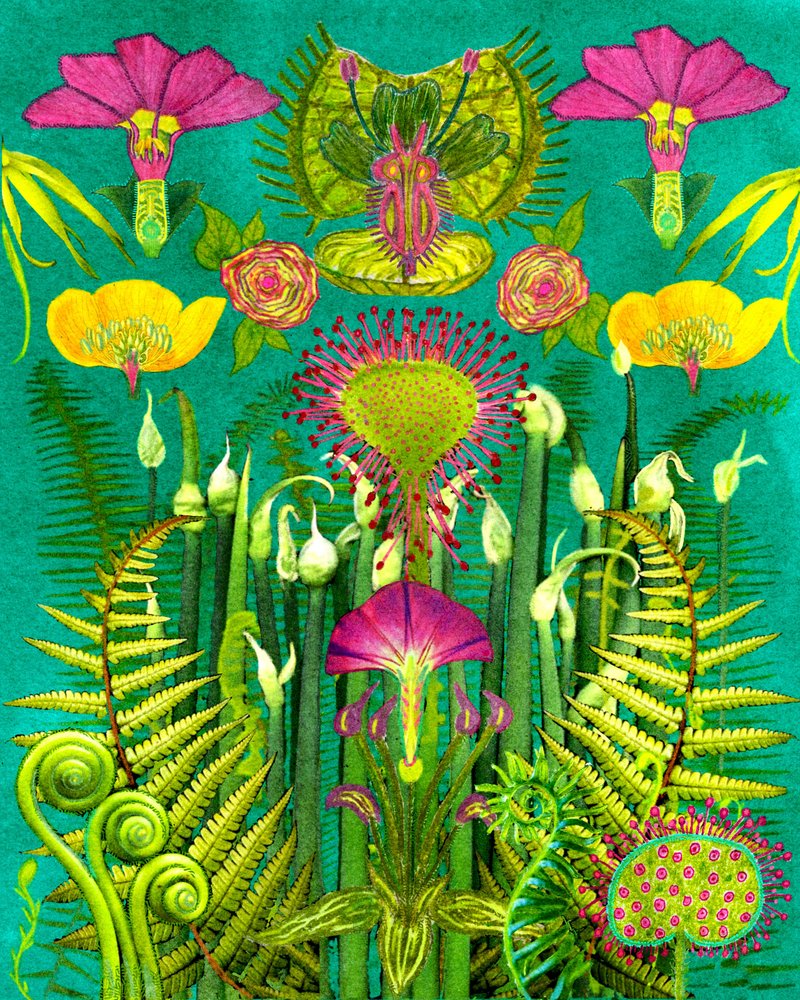 Fantasie Fleischfressender Garten von giovanna nicolo