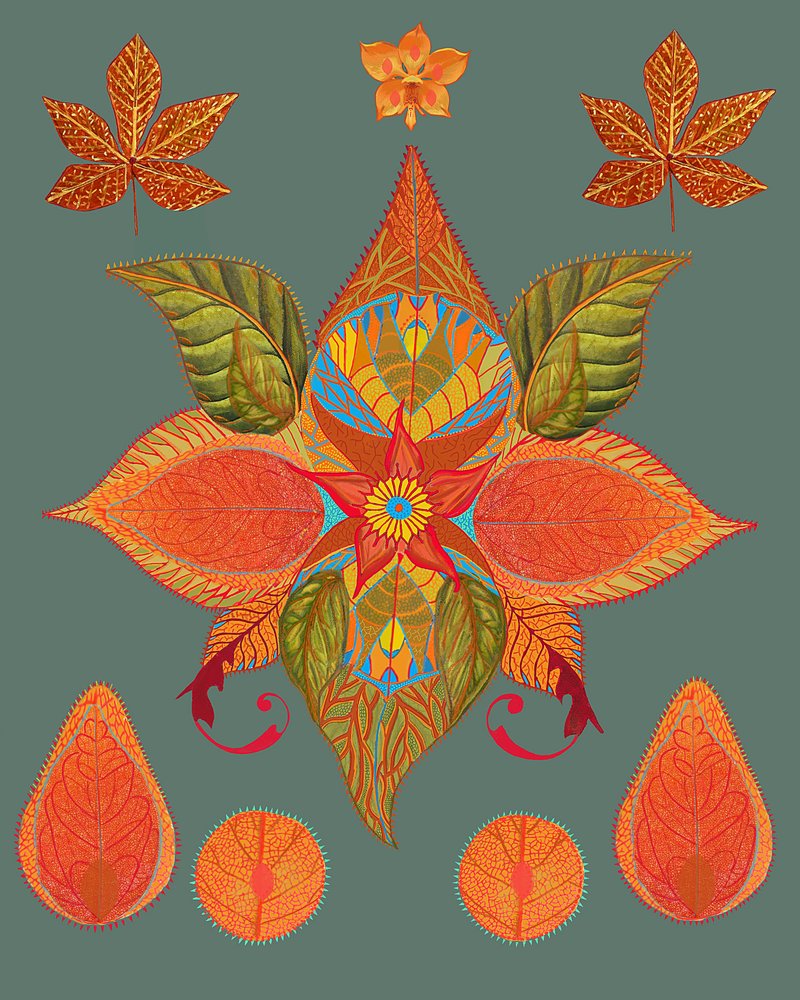 Lebendige Herbstbotanik von giovanna nicolo