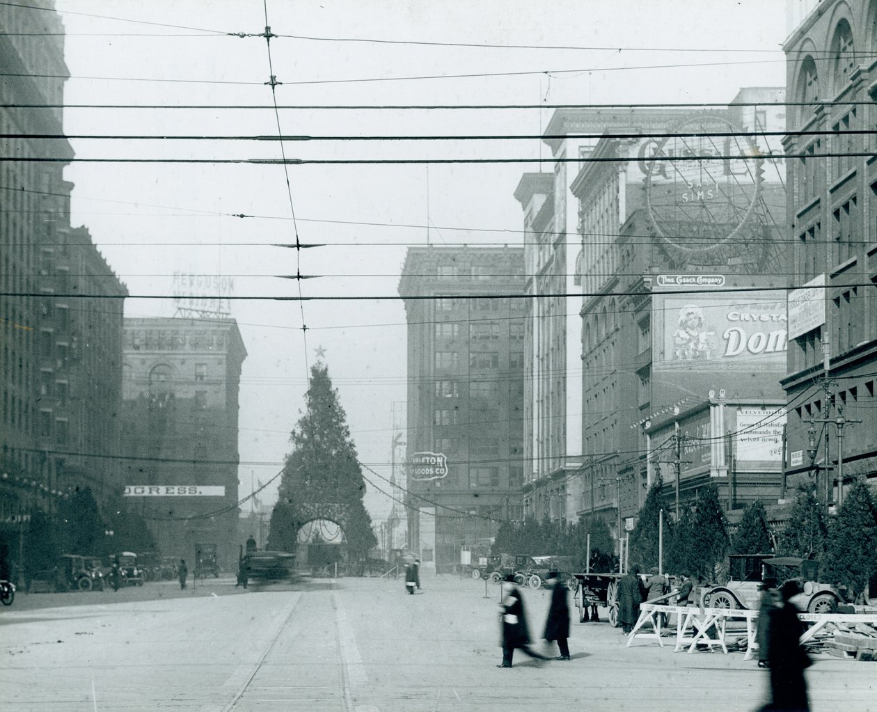 Weihnachtsbaum-Ferienausstellung in der Zwölften Straße zwischen Locust und St. Charles Streets von Unknown