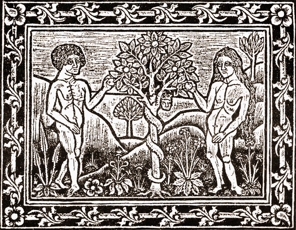 Der Baum, von dem Adam den Apfel aß, Faksimile aus einem Meditationsbuch, das erste Buch, das 1481 in Albi, Languedoc, gedruckt wurde von (after) French School