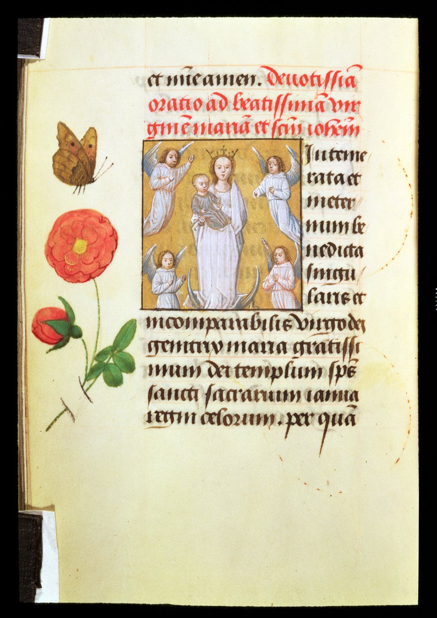 Stehende Jungfrau und Kind, von Engeln verehrt, um 1515-20 von Flemish School