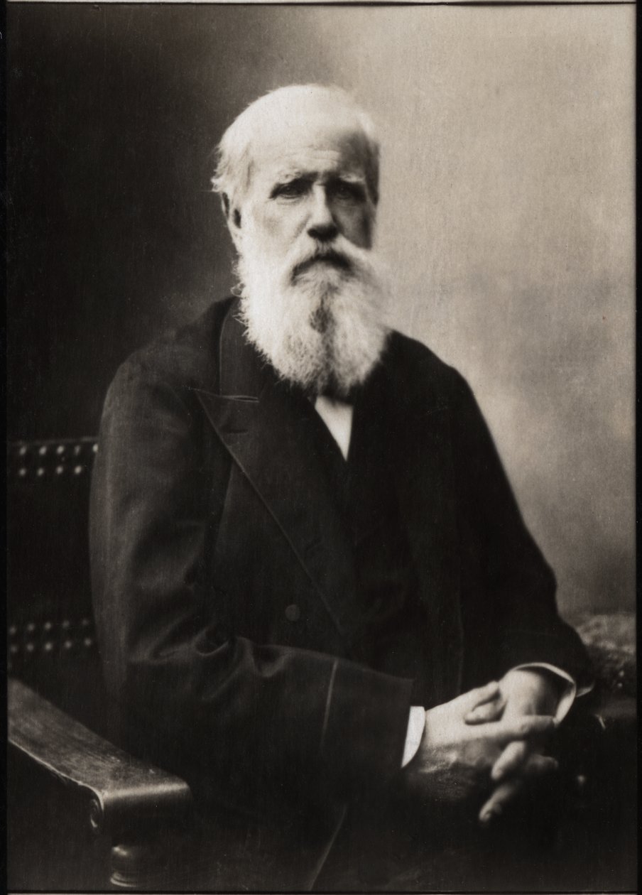 Porträt von Dom Pedro II. (Peter II.) (1825-1891), Kaiser von Brasilien von French Photographer