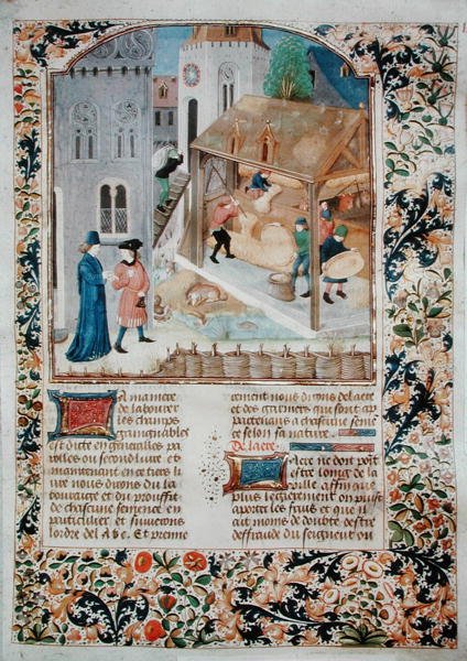 Ms 5064 fol.35r Dreschen, aus Livre des Prouffitz Champestres von Pietro de Crescenzi von French School