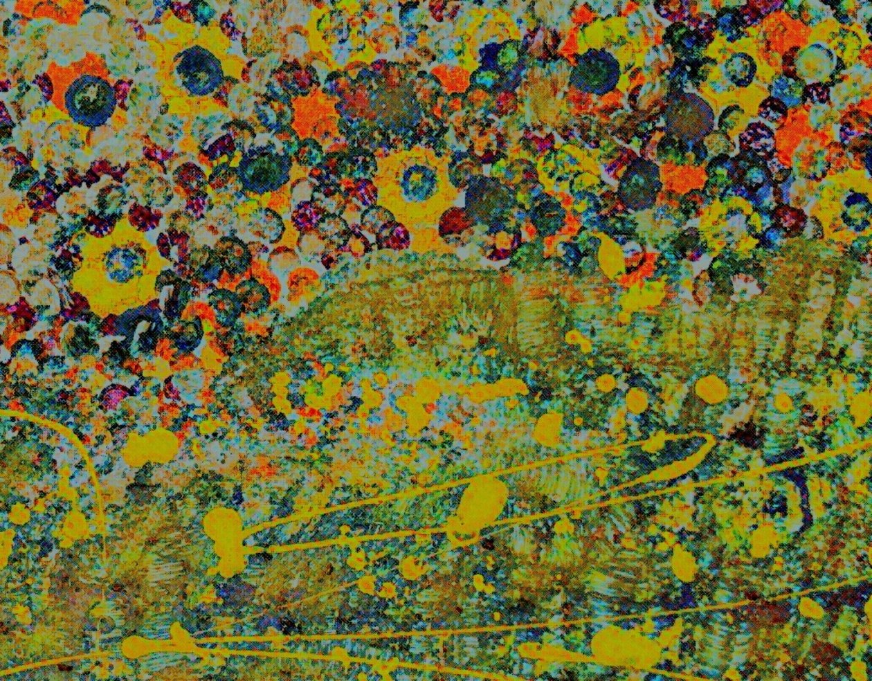 Blumen-Symphonie von Margareta Uliarte