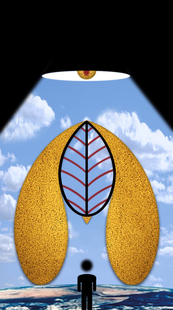 "Ein Zeichen sind wir..." von Alexander Eibach