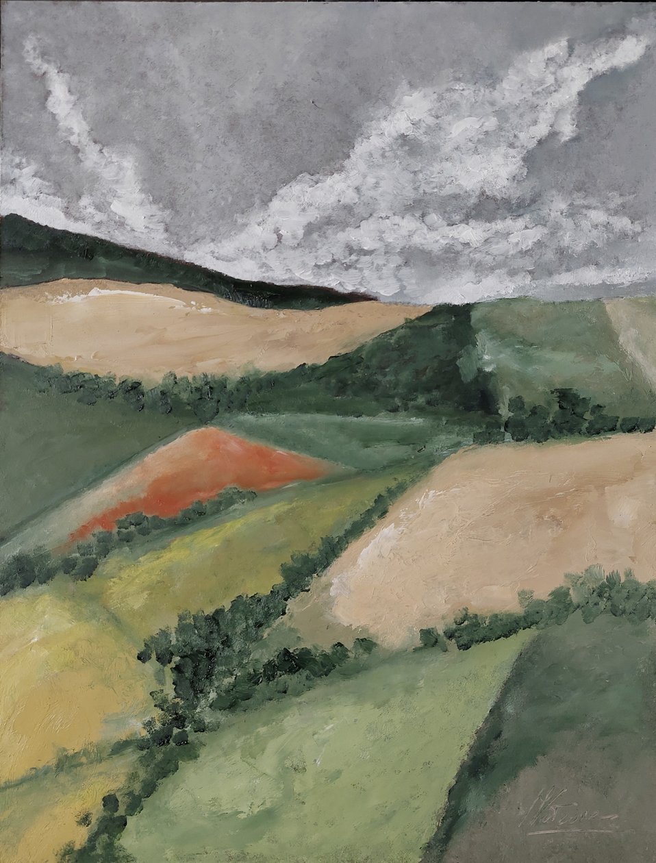 Hecken zwischen Feldern von M. Vet