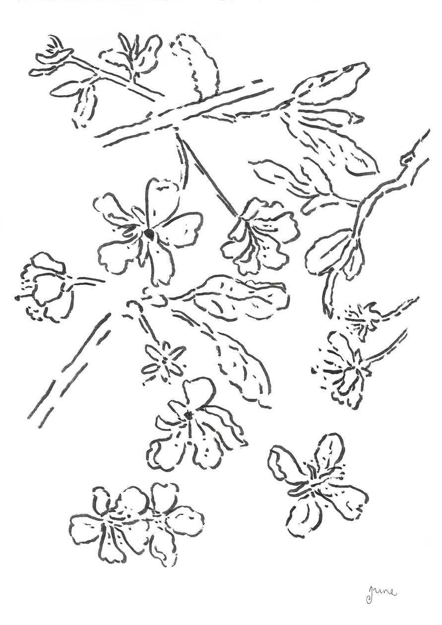 Blüten Tintenstudie von june art