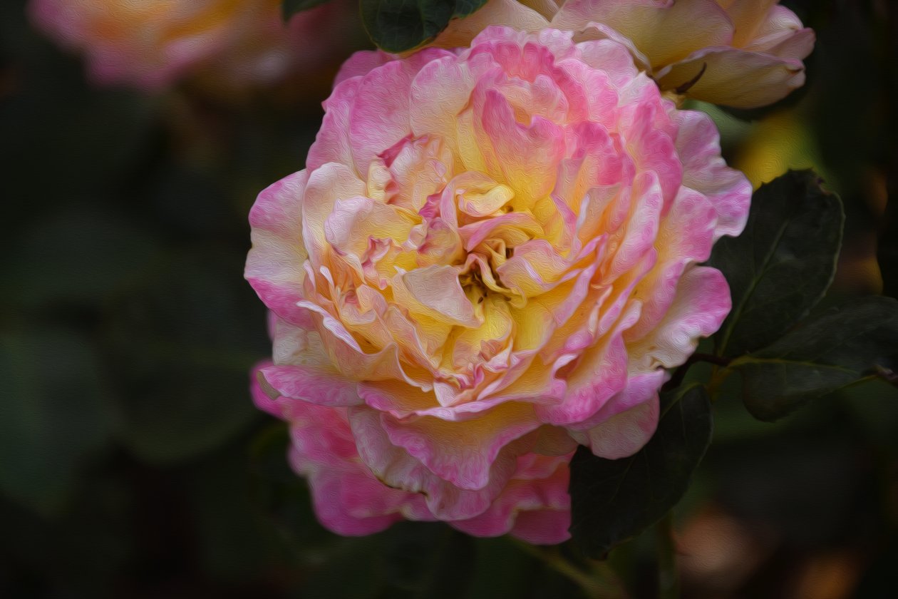 Blumenbild in Ölmalerei-Stil von Albert Mansour