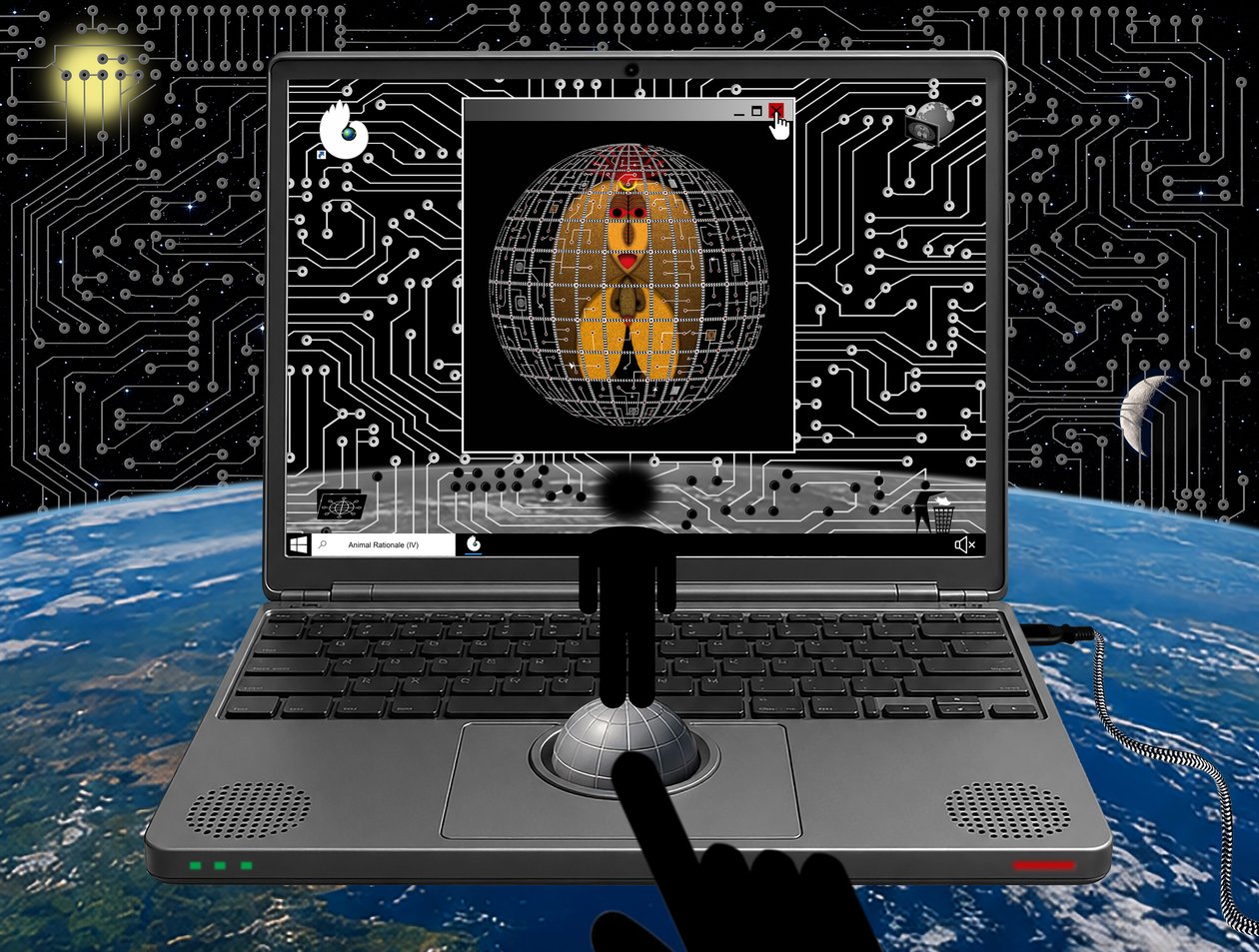 Animal Rationale (IV) von Alexander Eibach