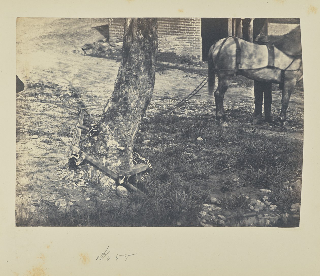 Schienen um einen Baum brechen und biegen von A.J. Russell