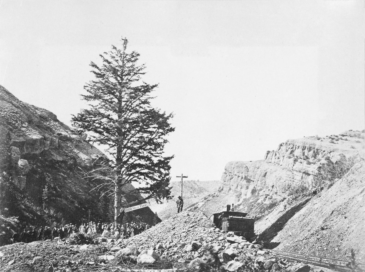 Tausend-Meilen-Baum am Wilhelmina-Pass mit einer Gruppe von Menschen am Fuß und einem Mann an der Spitze des Baumes neben der Eisenbahn. von A.J. Russell
