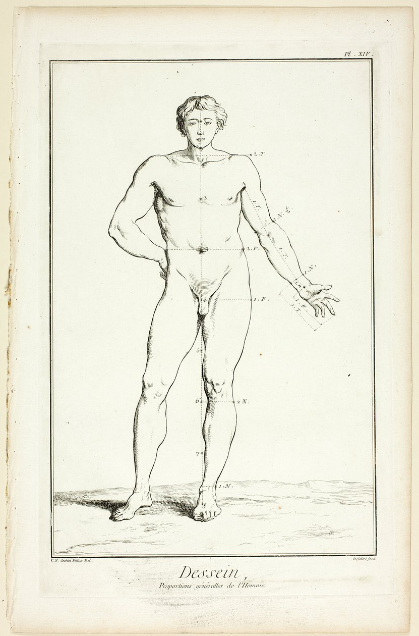 Design: Allgemeine Proportionen des Mannes, aus Encyclopédie von A. J. Defehrt