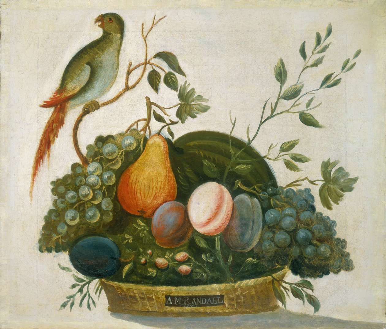 Korb mit Früchten und Papagei von A. M. Randall