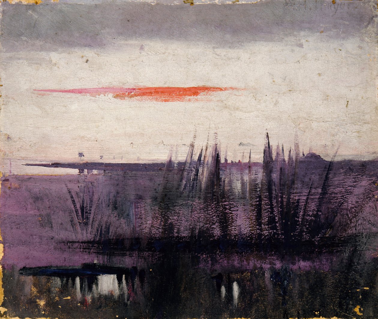 Der Himmel simuliert durch weiße Flamingos, Studie für Buch, Concealing Coloration in the Animal Kingdom von Abbott Handerson Thayer