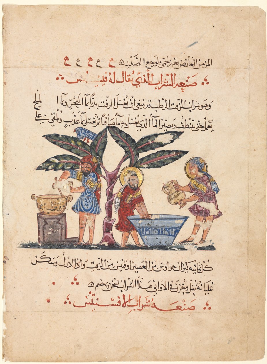 Folio aus einer arabischen Übersetzung der Materia Medica von Dioscorides von Abdallah ibn al Fadl (Iraq)