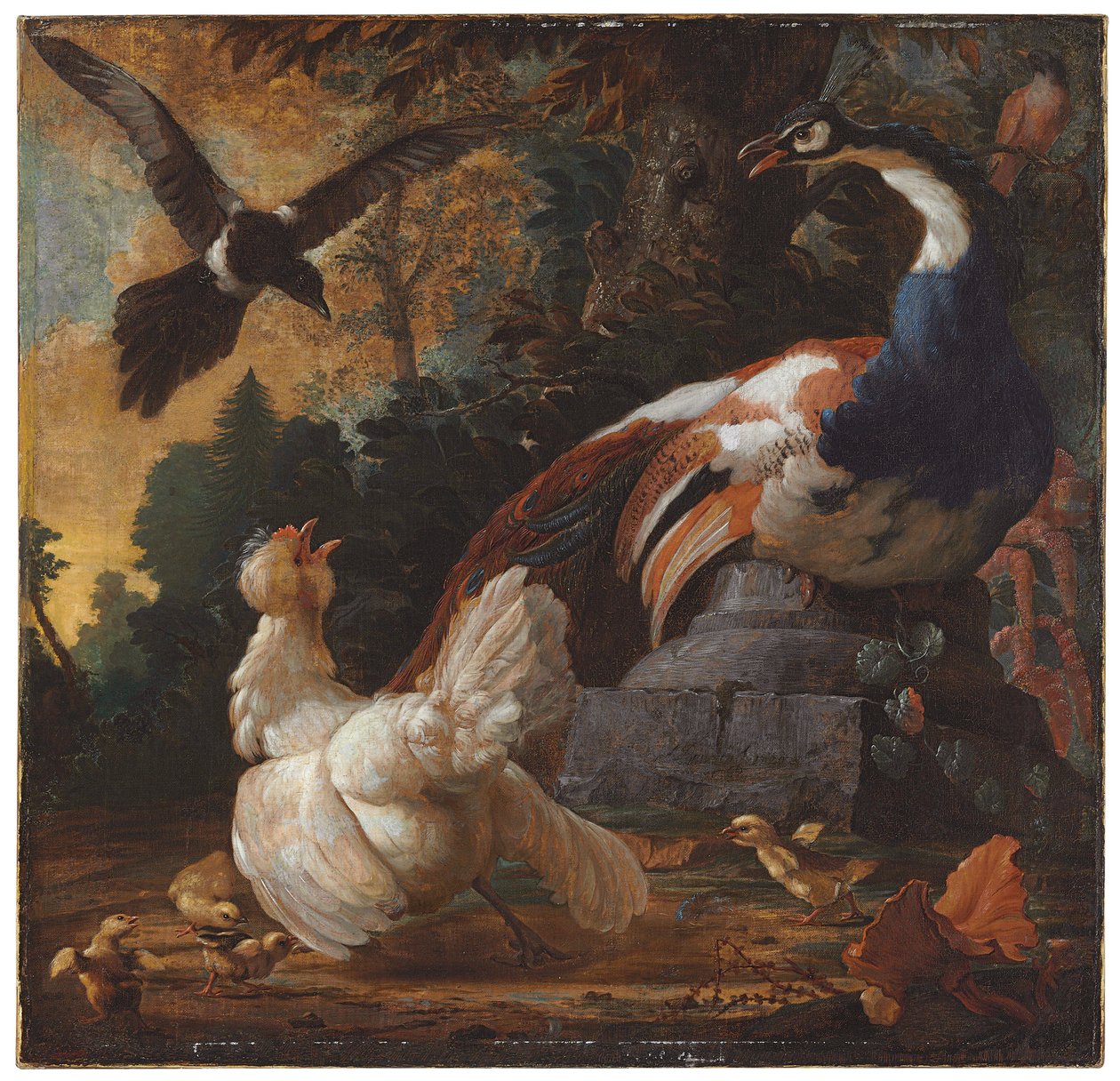 Ein Pfau, Geflügel und eine Elster in einer Landschaft, 1720 von Abraham Bisschop