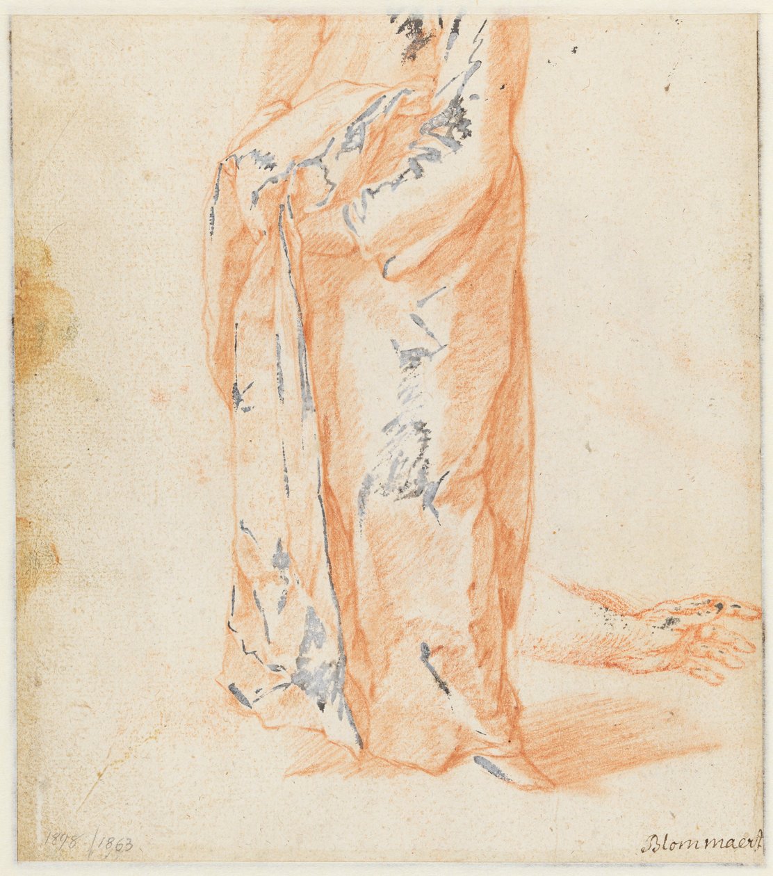 Studien einer Kuh von Abraham Bloemaert