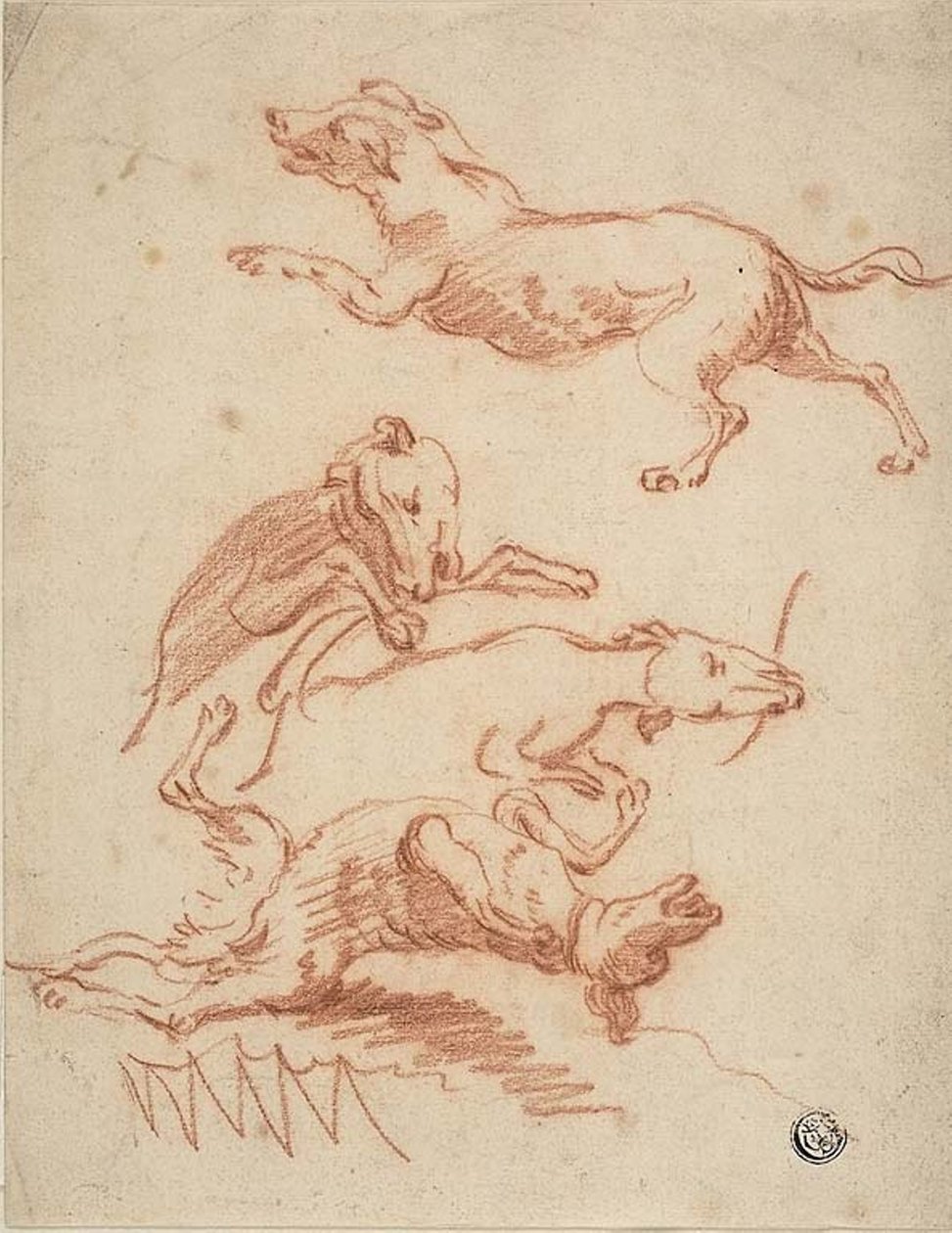 Skizzen von herumtollenden Hunden von Abraham Hondius