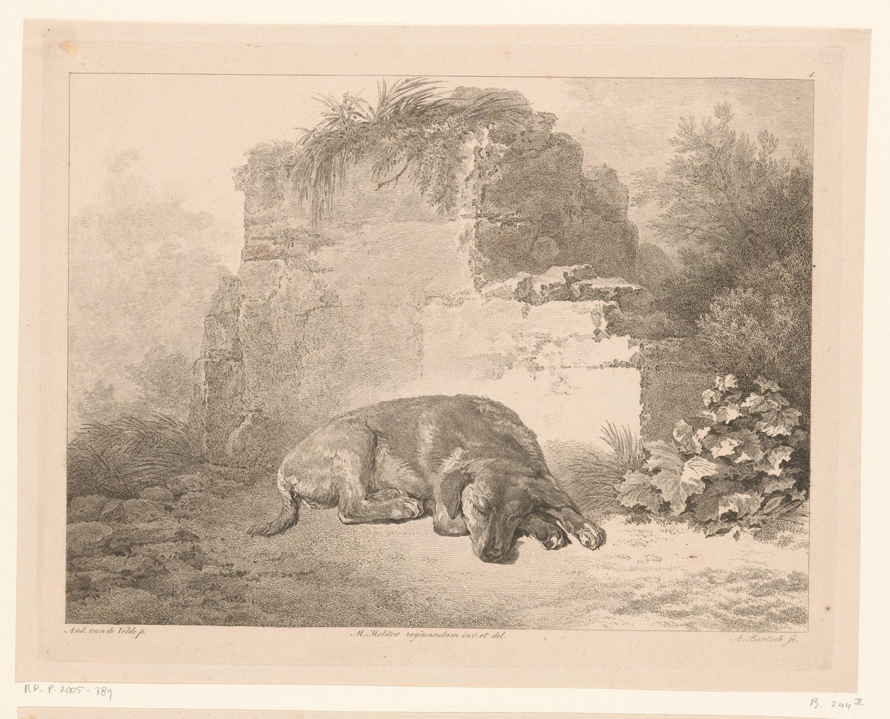 Schlafender Hund vor einer Mauer von Adam von Bartsch