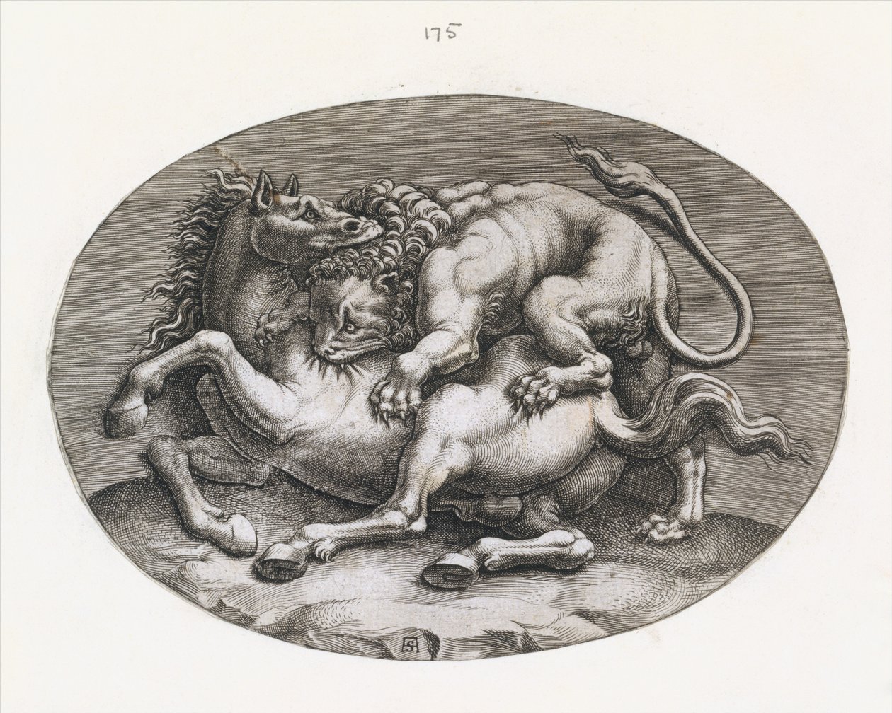 Spiegel der römischen Pracht: Löwe greift ein Pferd an, ca. 1540-80 von Adamo Scultori
