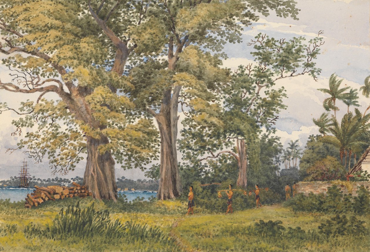 Apia-Bucht, Upolu, Navigatorinseln, [Samoa] von der Veranda meiner Krankenstation, 6. November 1849 von Admiral Sir Edward Gennys Fanshawe