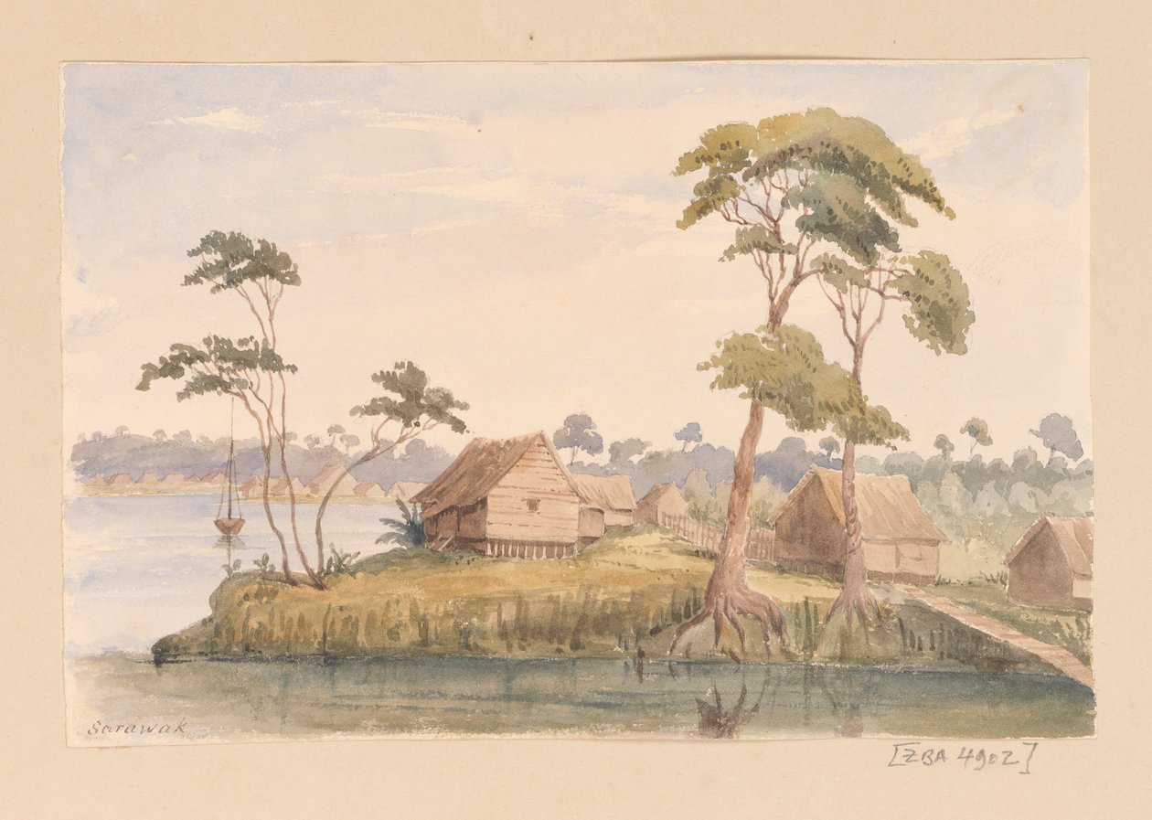 Sarawak aus Westindien, Nordamerika und Borneo-Sammelalbum von Admiral Sir Edward Gennys Fanshawe