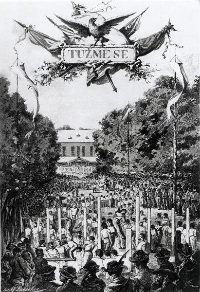 Tuzmese (die Anstrengung), erstes Treffen der Sokols in Prag von Adolf (after) Liebscher
