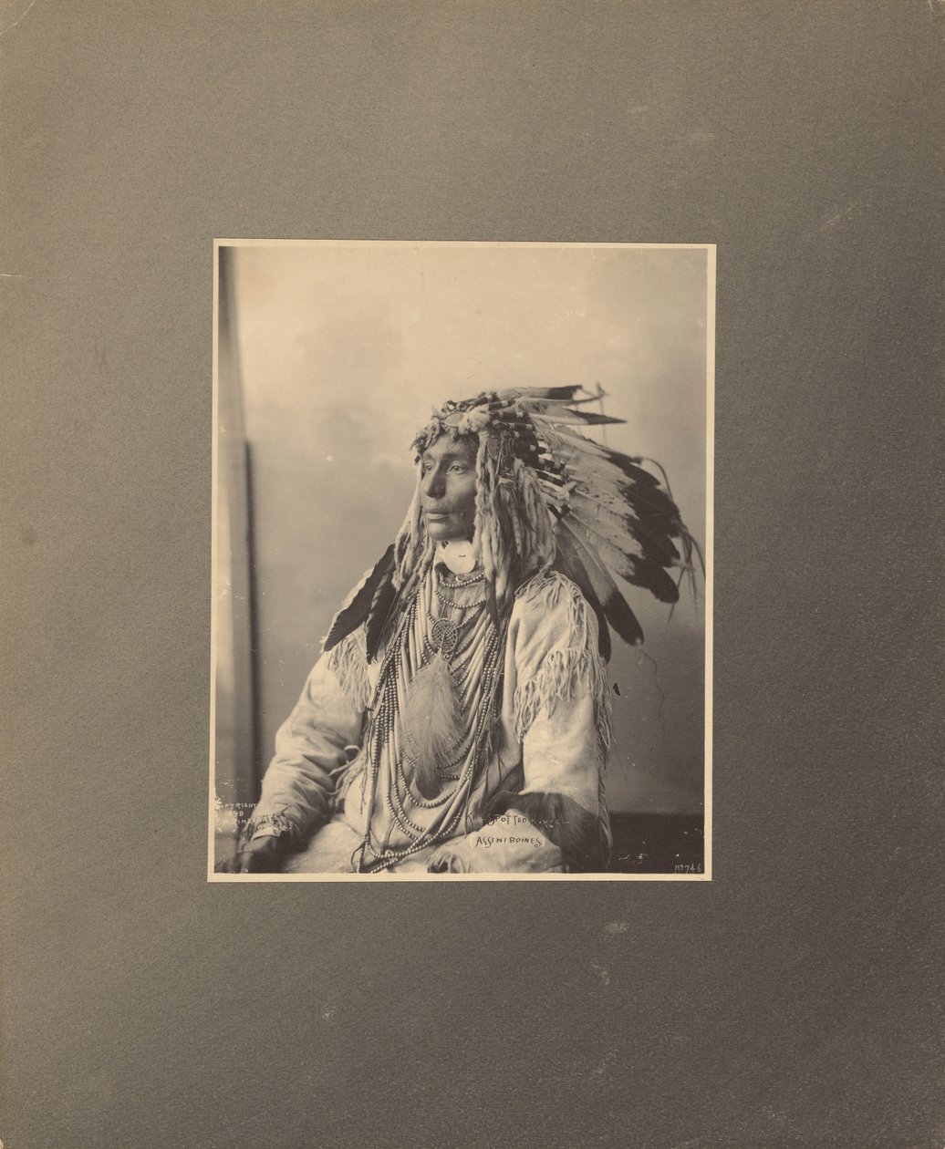 Kill Spotted Horse, Assiniboines von Adolph F. Muhr
