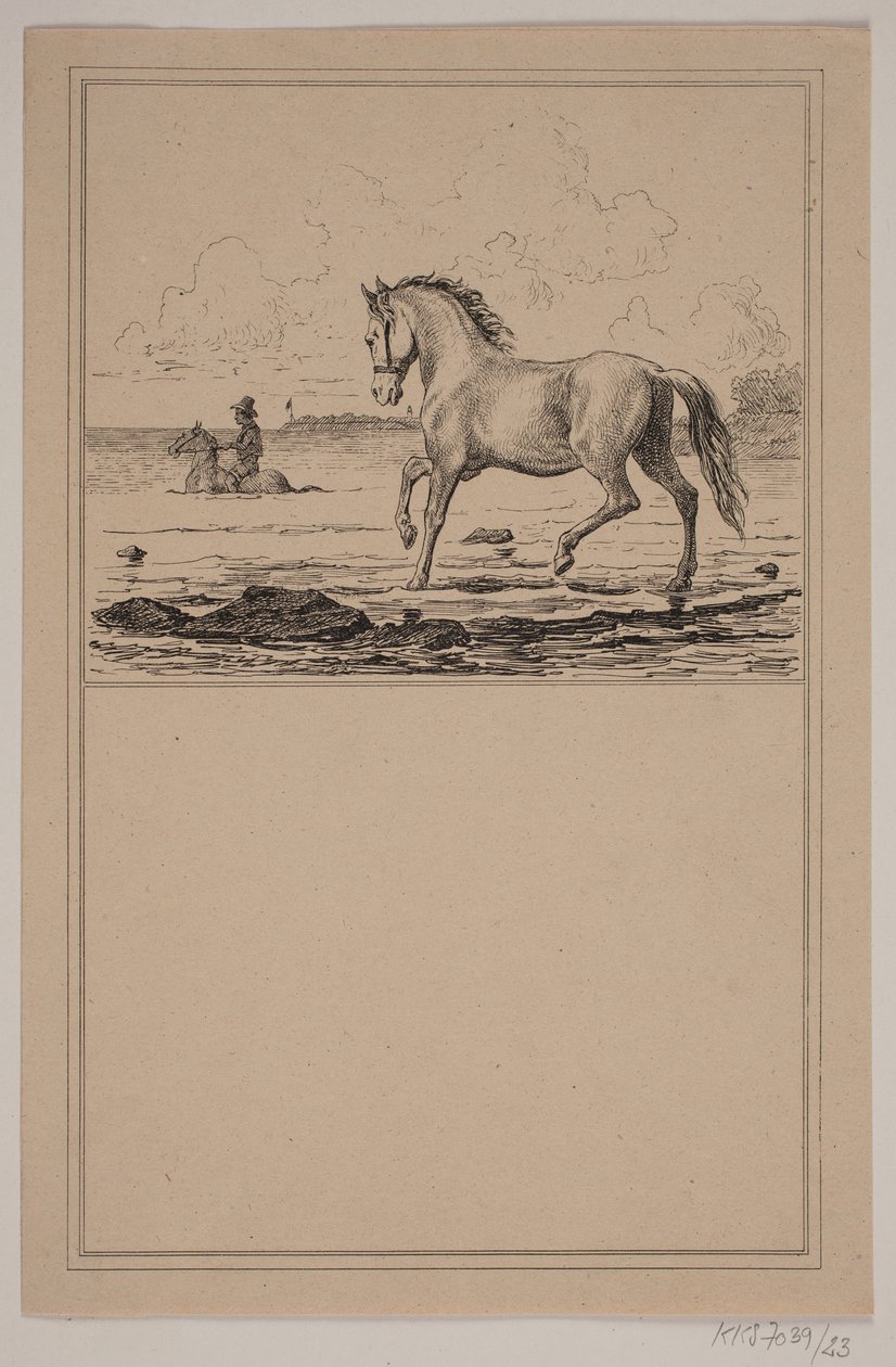 Das Pferd im Wasser. Nr. 22 in Chr. Winther und M. Rørbye, "25 Bilder für kleine Kinder" von Johan Adolph Kittendorff