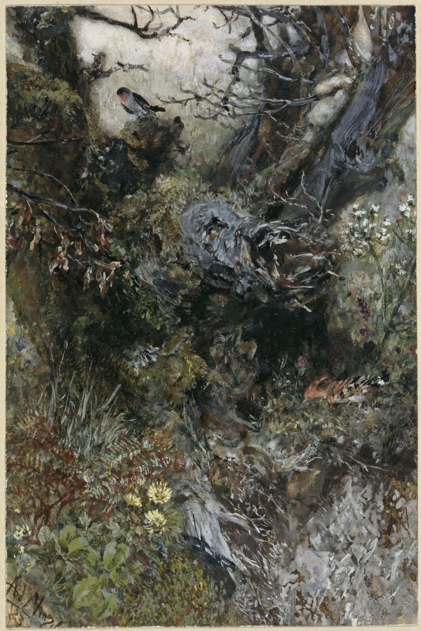 Baumstumpf mit Rotkehlchen und Wiedehopf. Aus dem "Kinderalbum" von Adolph Menzel