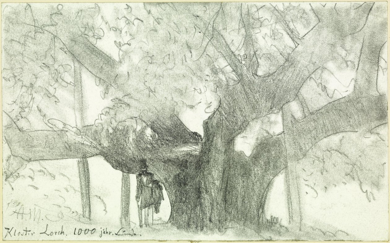 Die 1000-jährige Linde im Kloster Lorch von Adolph Menzel
