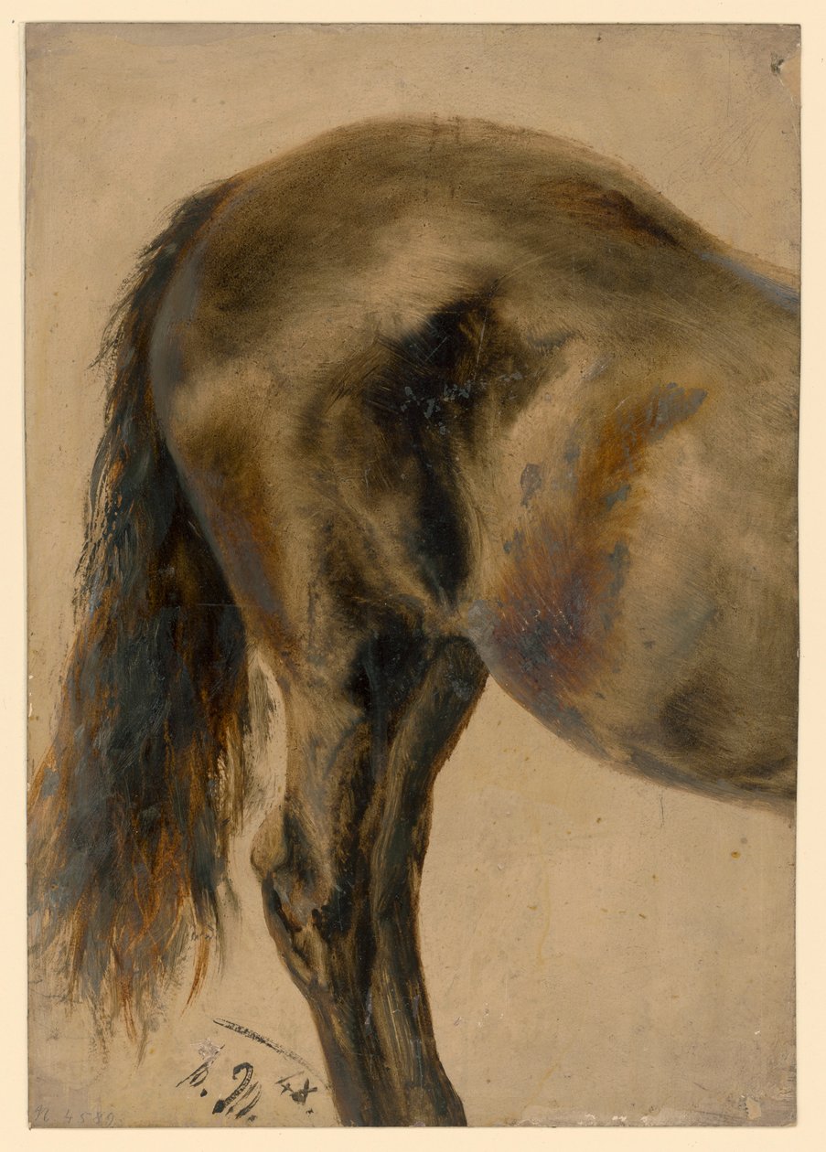Hinterteil eines Pferdes im Profil von Adolph Menzel