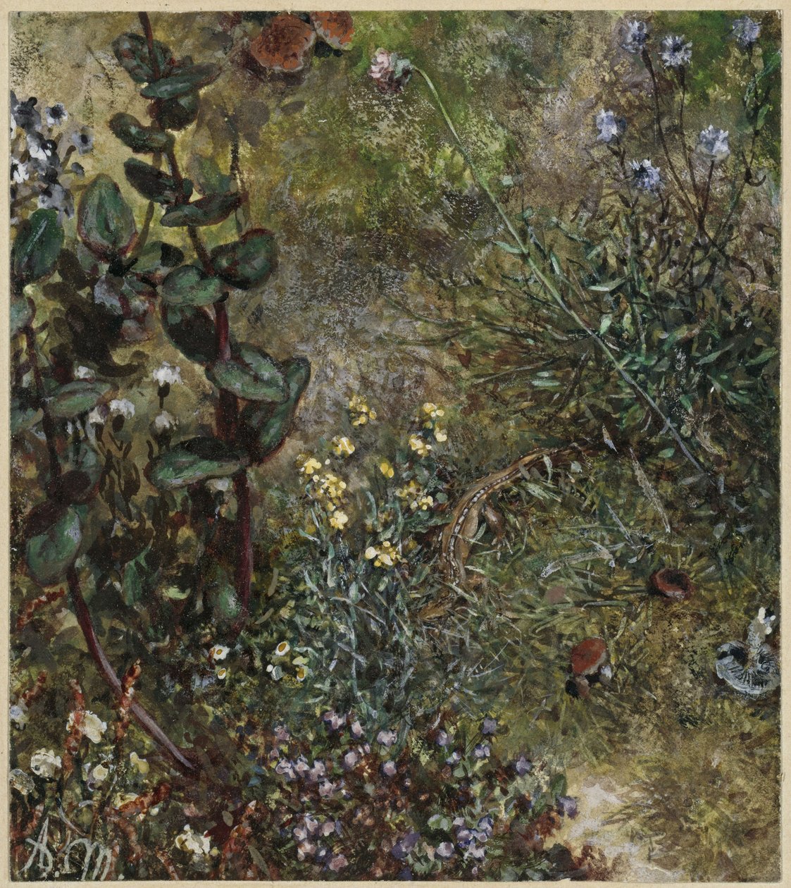 Waldboden mit der Eidechse. Aus dem "Kinderalbum" von Adolph Menzel