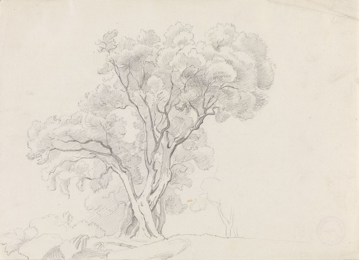 Laubbäume von Adolph Tidemand