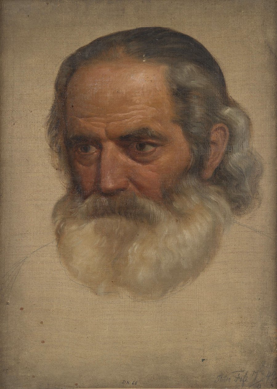 Studienkopf, alter Mann von Adolph Tidemand