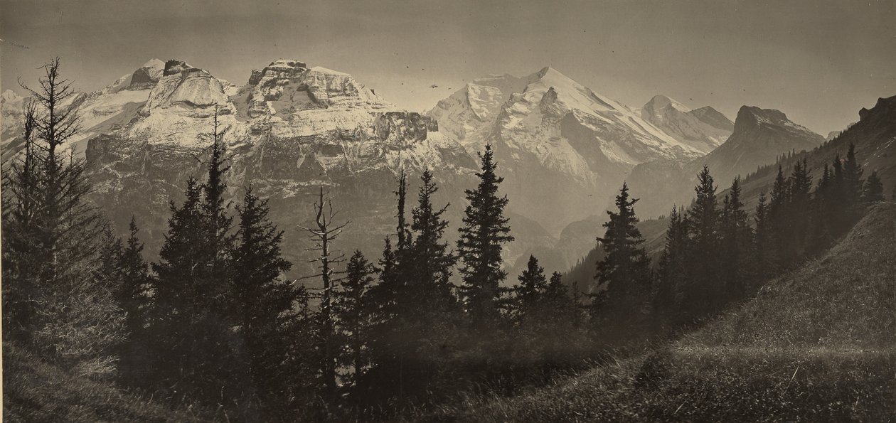 Alpenlandschaft von Adolphe Braun