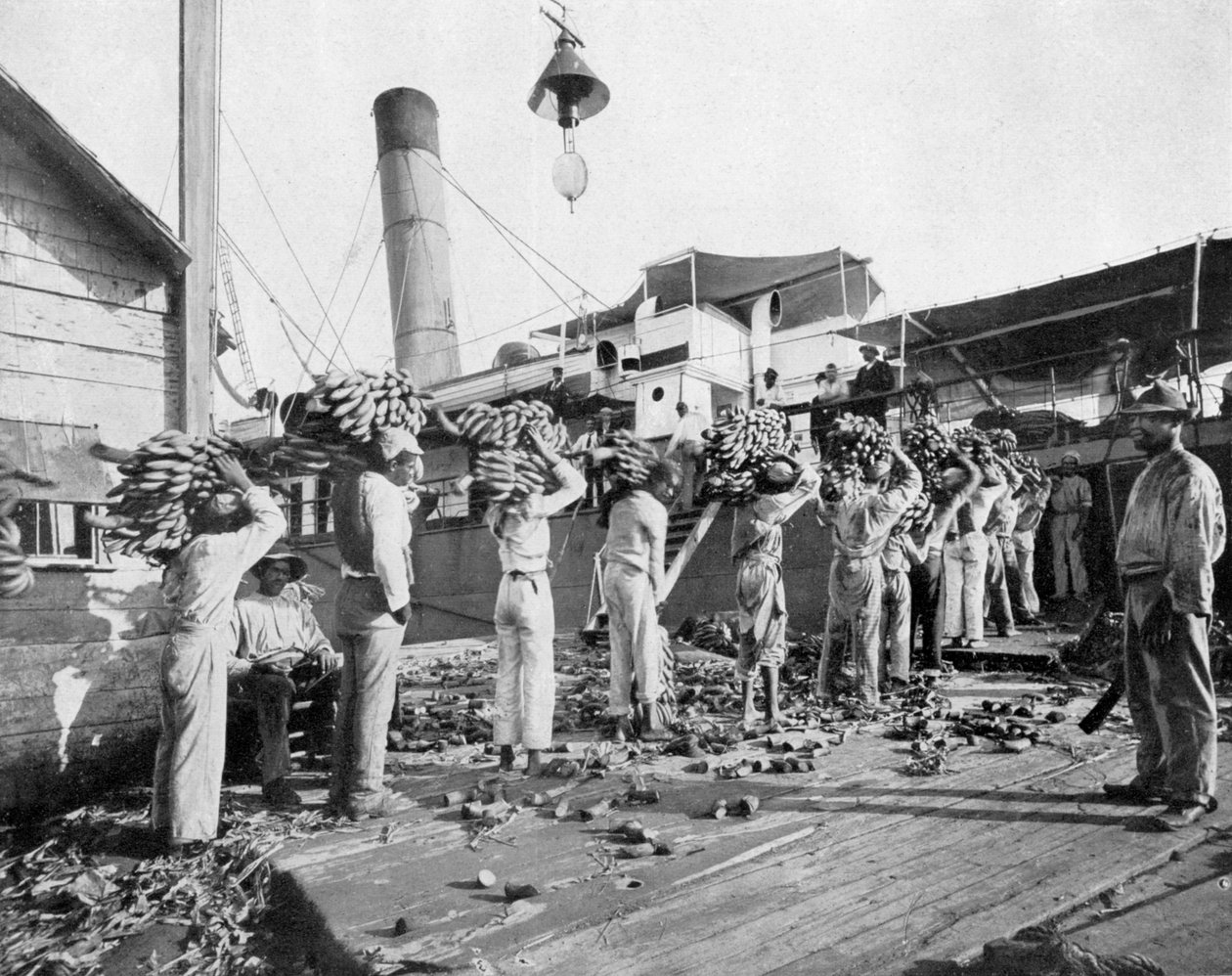 Bananenverladung, Port Antonio, Jamaika, ca. 1905 von Adolphe Duperly and Son