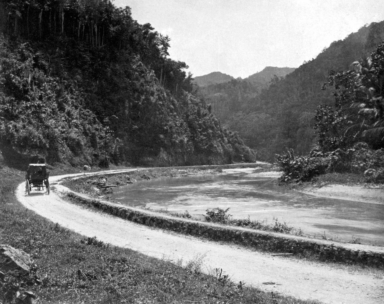 Straße nach Bog Walk, Jamaika von Adolphe Duperly and Son