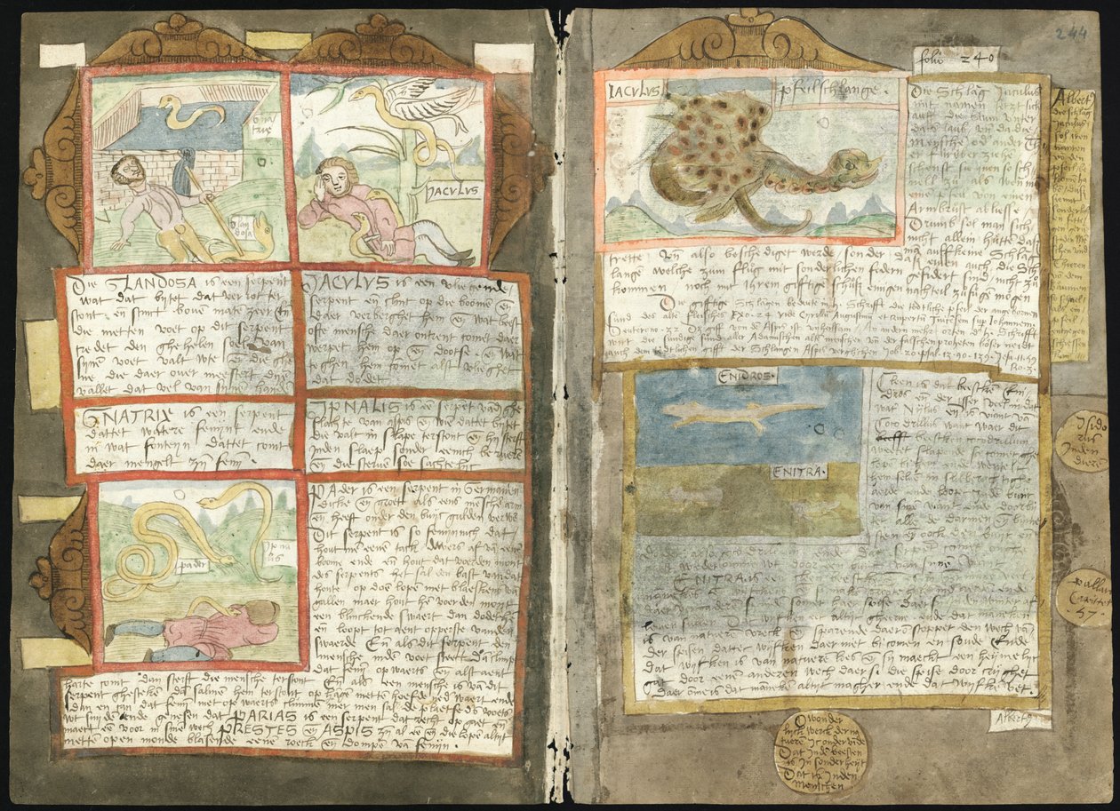 Adriaen Coenens Visboeck - KB 78 E 54 - Folios 243v (links) und 244r (rechts) von Adriaen Coenen