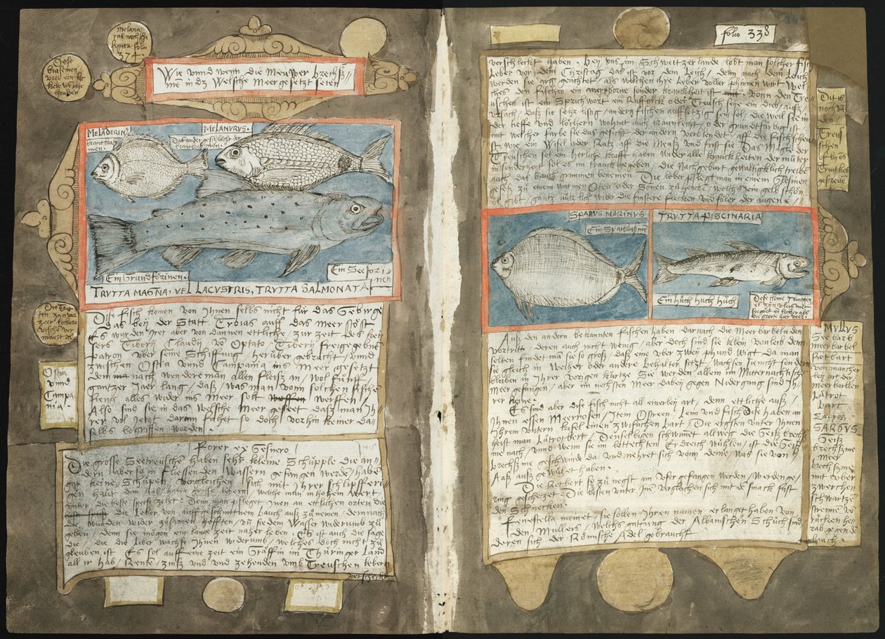 Adriaen Coenens Visboeck - KB 78 E 54 - Folios 339v (links) und 340r (rechts) von Adriaen Coenen