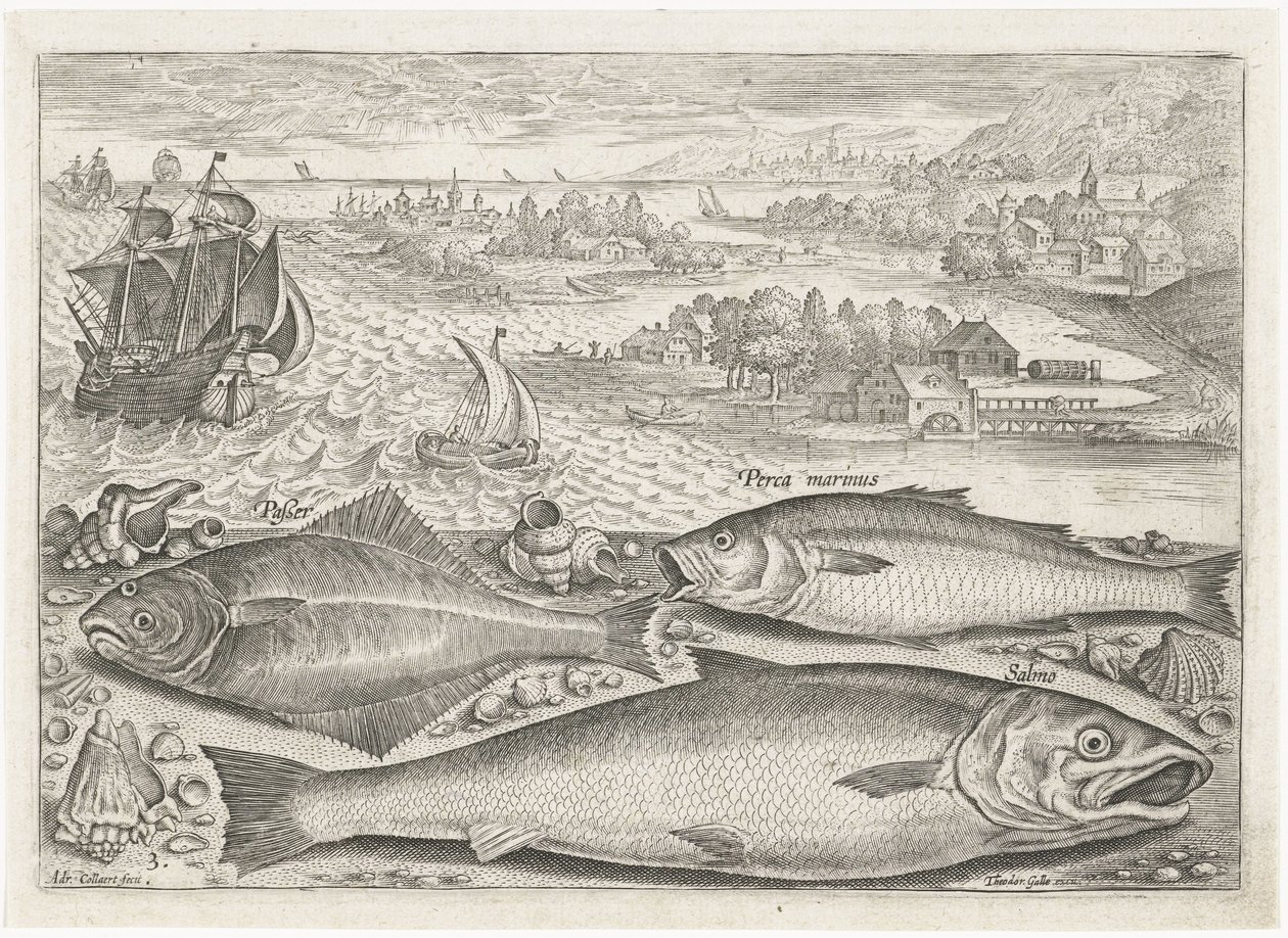 Drei Fische am Strand von Adriaen Collaert