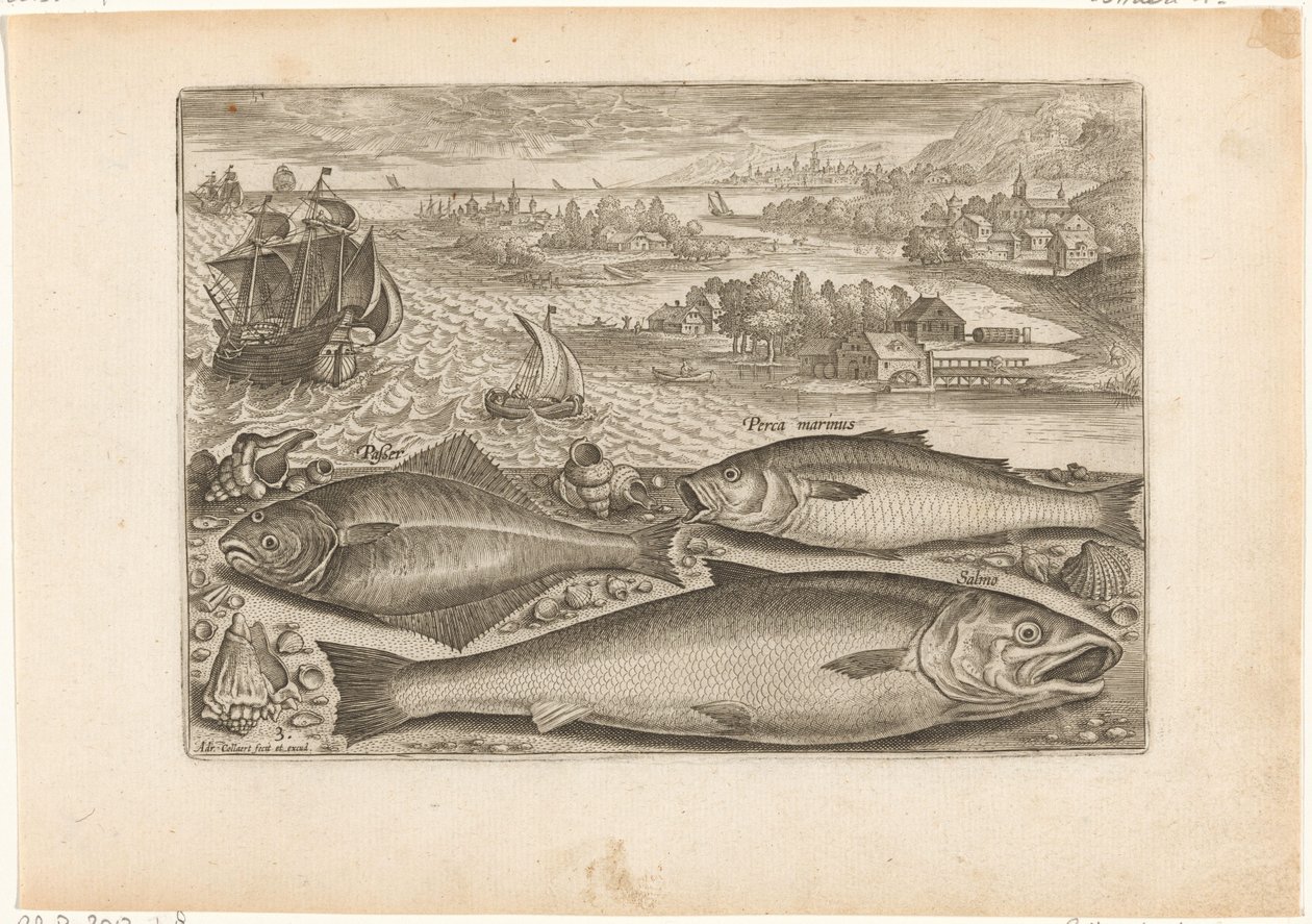 Drei Fische am Strand von Adriaen Collaert
