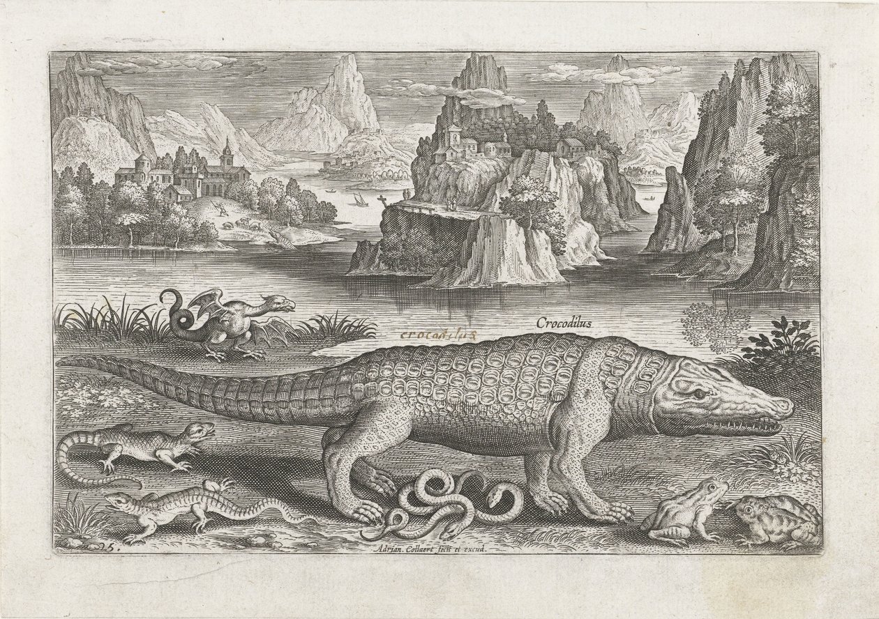 Einige Reptilien und Amphibien an einem Ufer (Fische, Piscivm vivae icones) von Adriaen Collaert