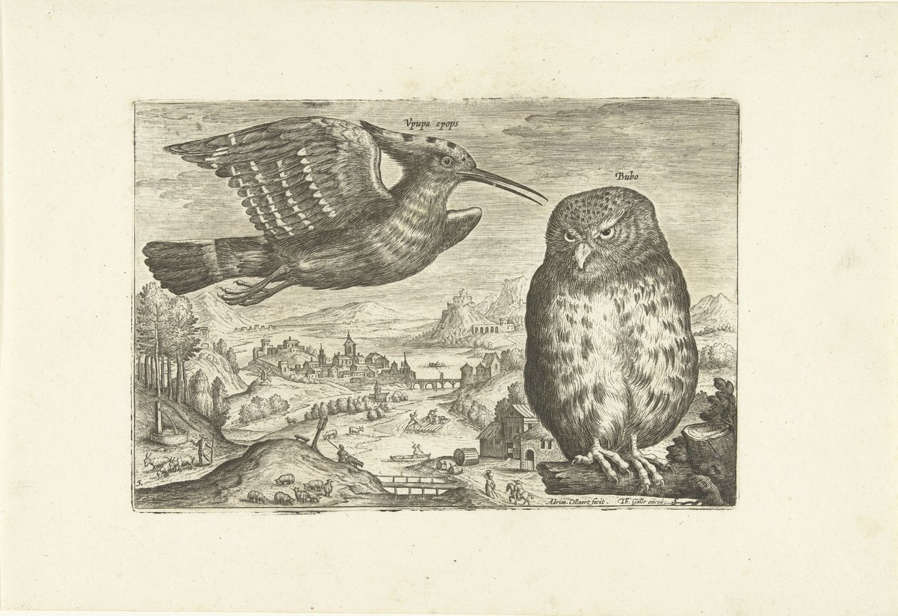 Einige Vögel in einer Landschaft von Adriaen Collaert