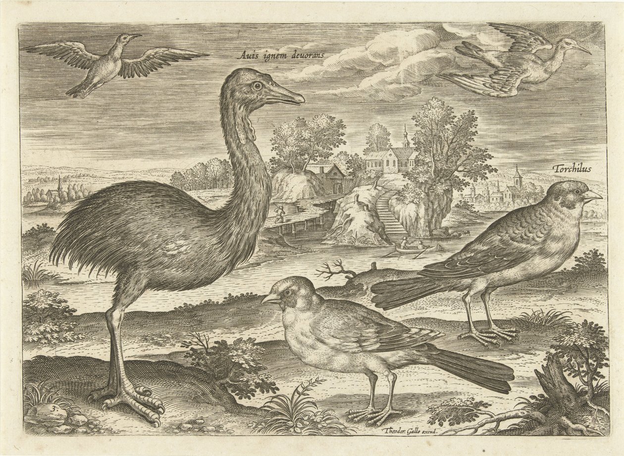 Enkele vogels in een landschap von Adriaen Collaert