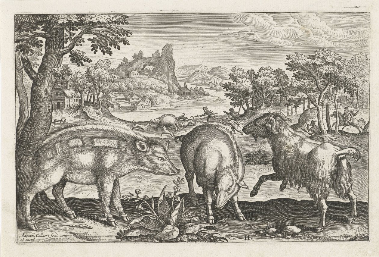 Ziege und Schweine von Adriaen Collaert