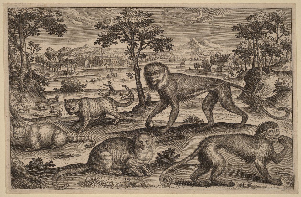 Drei Katzen und zwei Affen von Adriaen Collaert