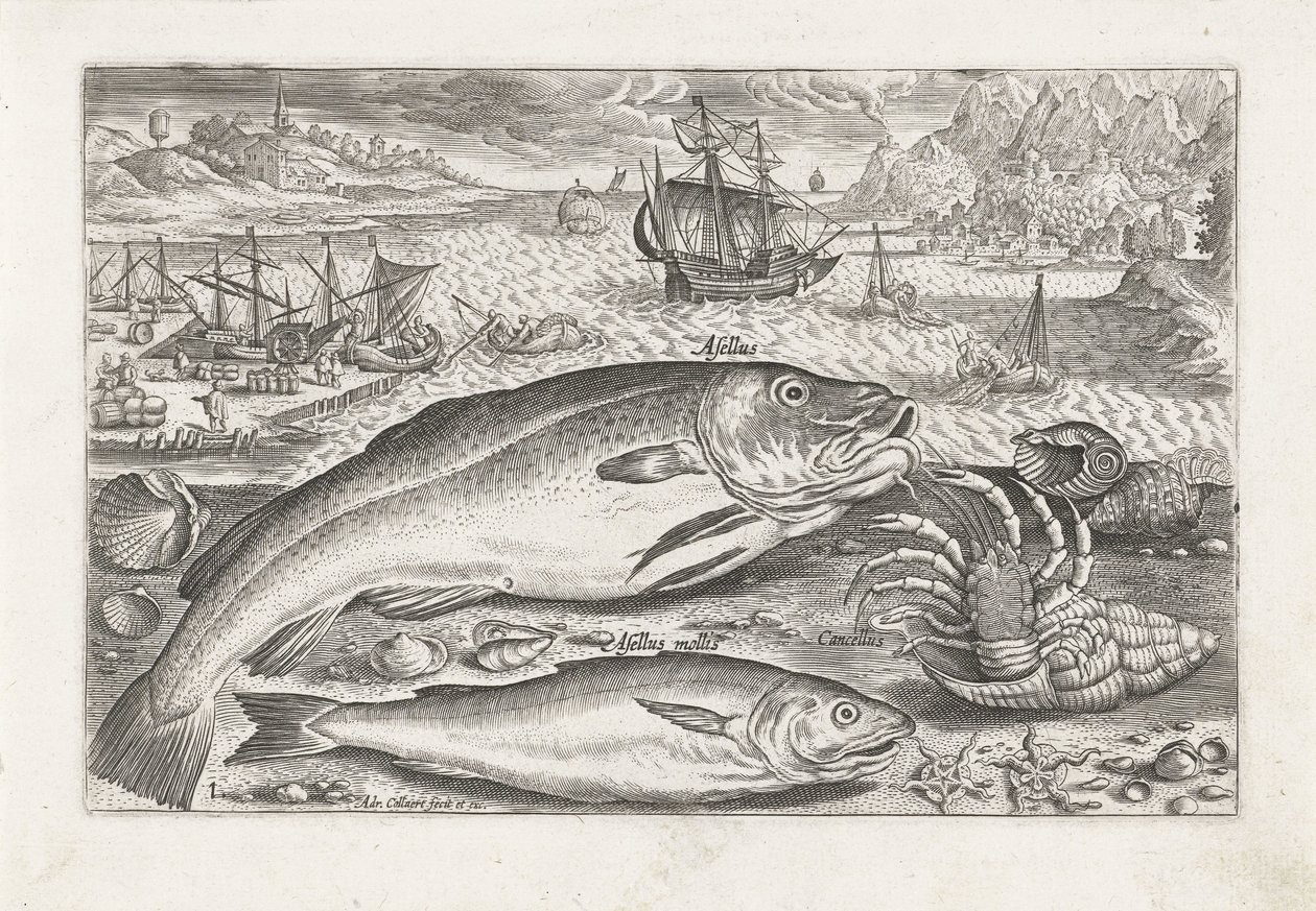 Zwei Fische am Strand von Adriaen Collaert