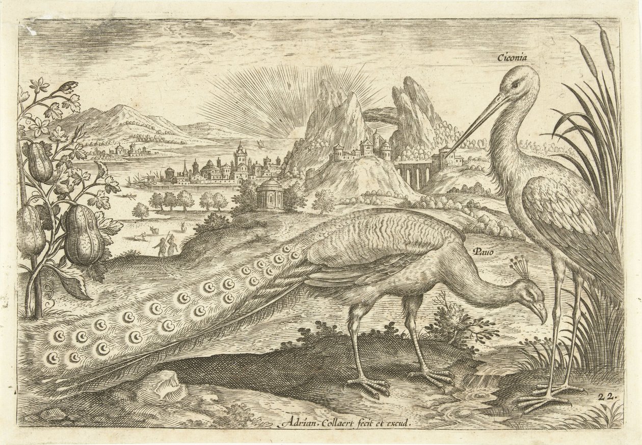 Zwei Vögel in einer Landschaft von Adriaen Collaert