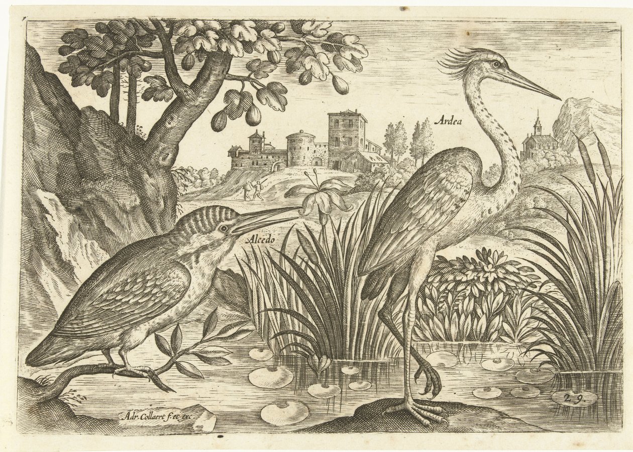 Zwei Vögel in einer Landschaft von Adriaen Collaert